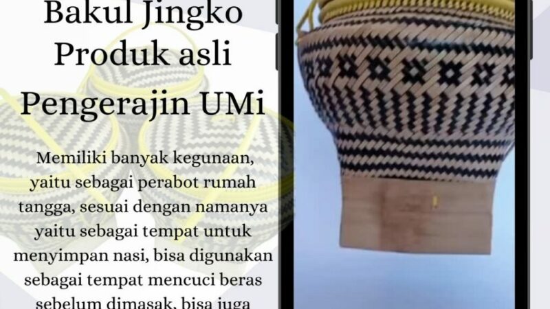 bakul Jingko (1)